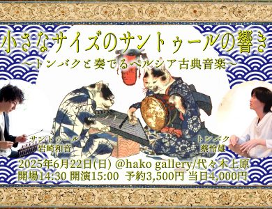 《演奏会のお知らせ》小さなサイズのサントゥールの響き